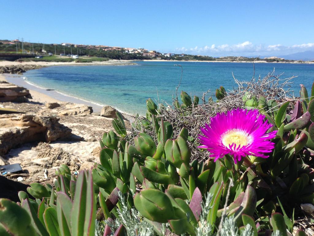 Hotel Da Patrizia à Santa Teresa Gallura Extérieur photo